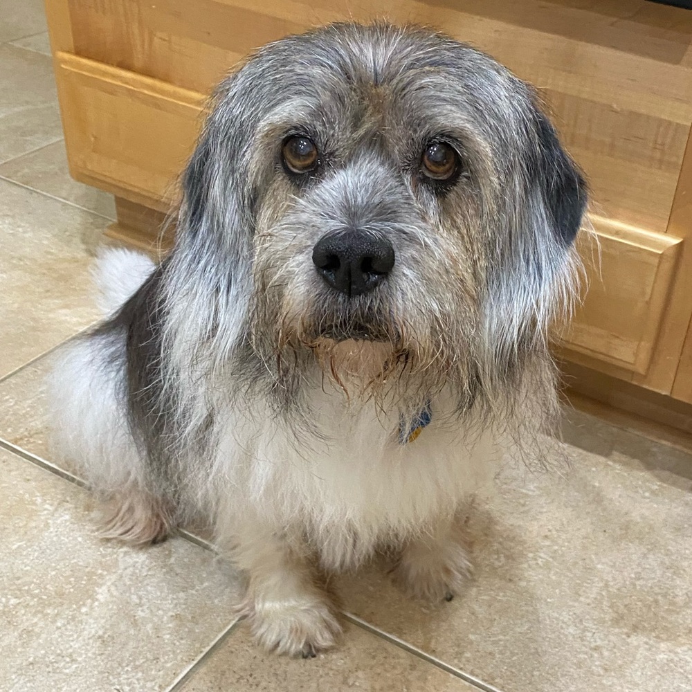 Meet your Posher, Tracey